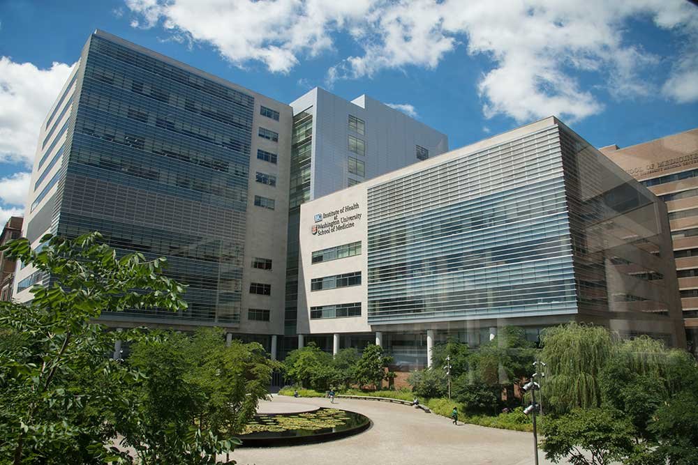 Washington University School of Medicine in St. Louis – St. Louis, Missouri