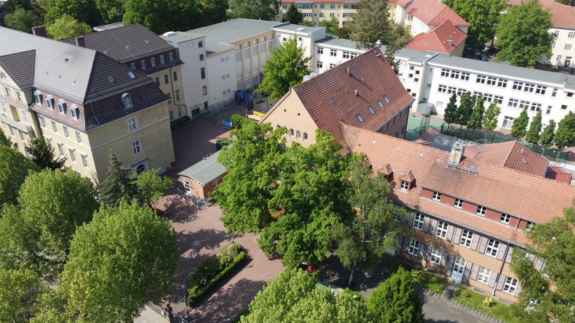 Berlin International School (BIS)