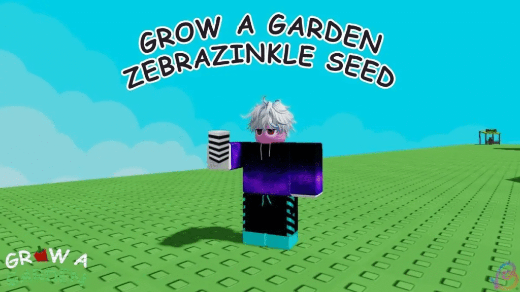 How to get the Zebrazinkle Seed in Grow a Garden