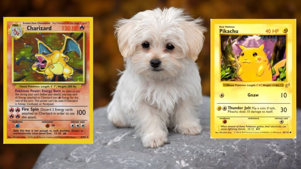 Some Pokemon TCG collectors are trying to exchange their pets for cards (Image via The Pokemon Company)