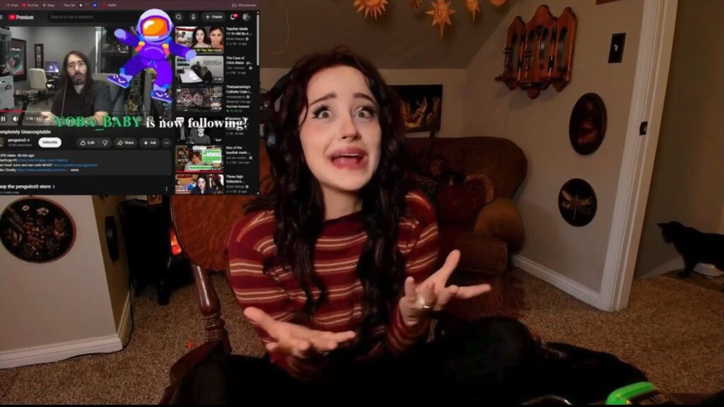 The streamer believes she did nothing wrong and did not harm her pet (Image via Kick/FoidElf)